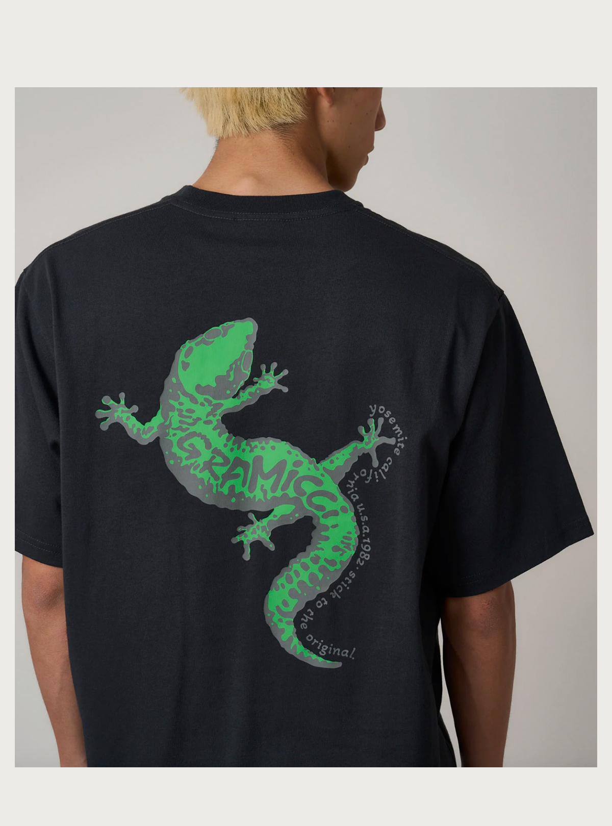 Gramicci - Gecko Tee - VB