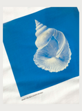 TM - Lena Tee - Sea